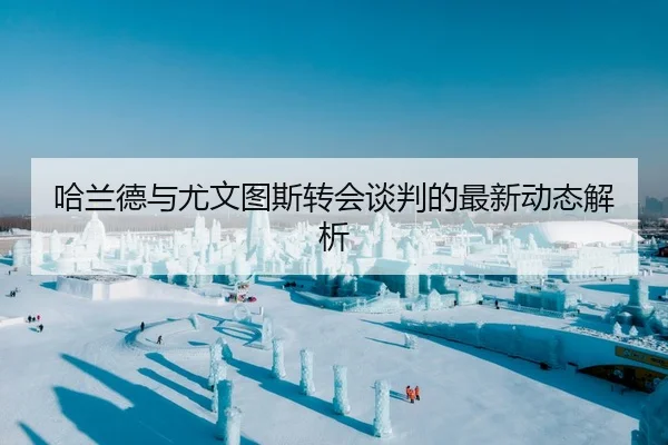 哈兰德与尤文图斯转会谈判的最新动态解析