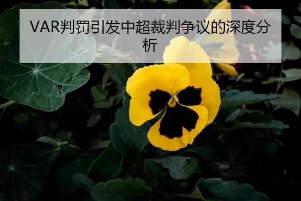 pan-fa-yin-fa-zhong-chao-cai-pan-zheng-yi-de-shen-du-fen-xi-2-150.jpg